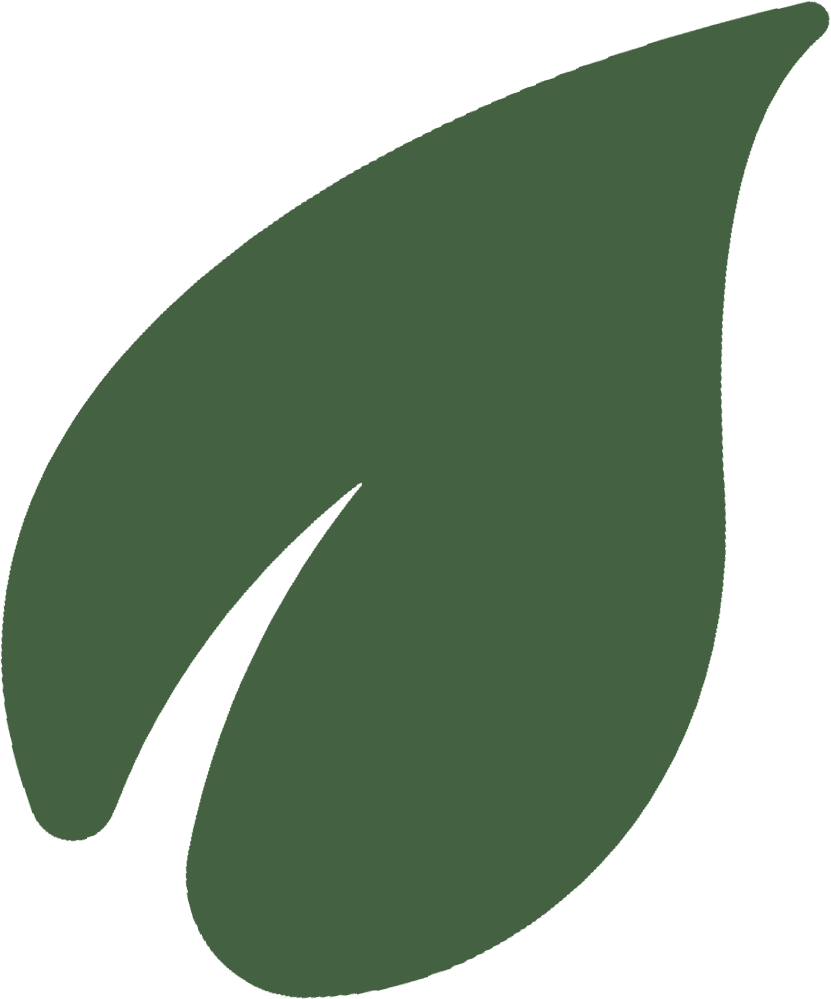 Laine naturelle et compostable